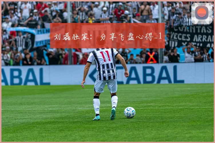 刘磊独家：分享飞盘心得_1