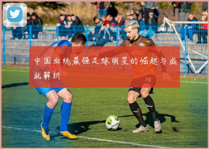 中国血统最强足球明星的崛起与成就解析