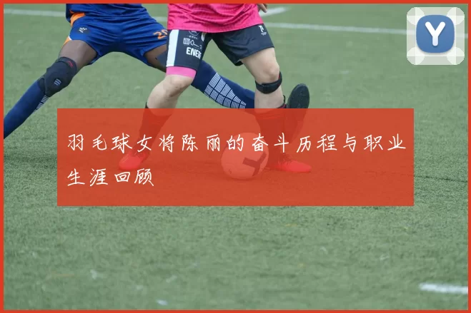 羽毛球女将陈丽的奋斗历程与职业生涯回顾