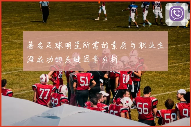 著名足球明星所需的素质与职业生涯成功的关键因素分析