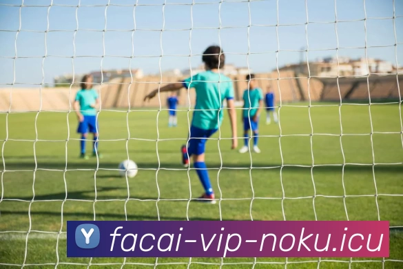 MK体育品牌故事